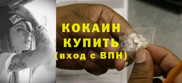 шишки Магадан