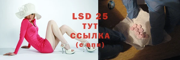 ешки Домодедово