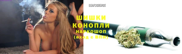 шишки Магадан