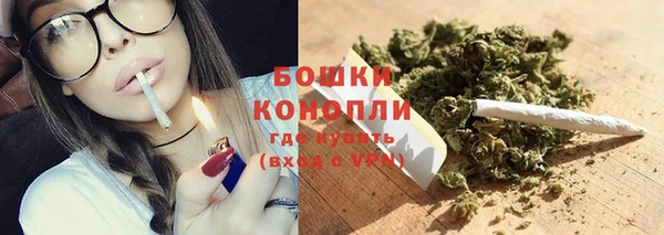 шишки Магадан