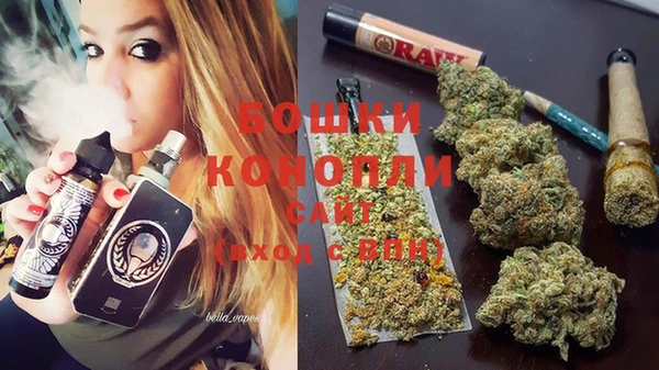 шишки Магадан