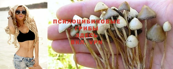 шишки Магадан