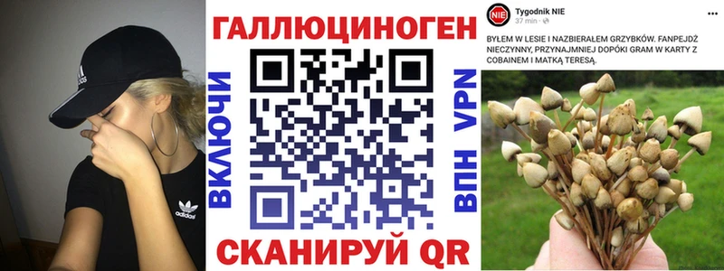 продажа наркотиков  Жигулёвск  Псилоцибиновые грибы мицелий 