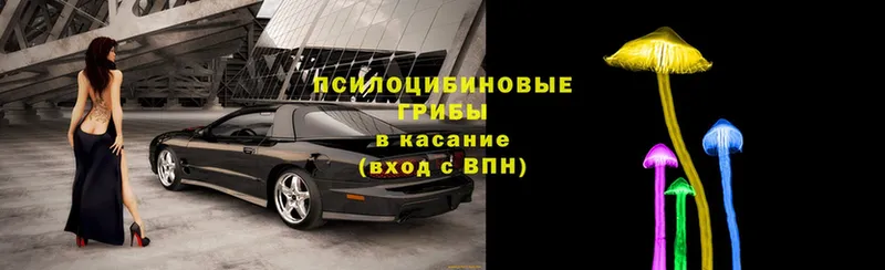 цена   Жигулёвск  Псилоцибиновые грибы ЛСД 