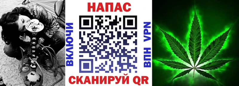 как найти наркотики  Жигулёвск  omg онион  дарк нет какой сайт  Шишки марихуана ГИДРОПОН 